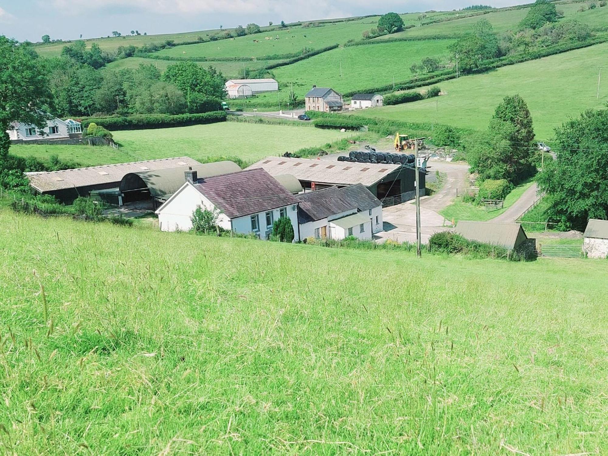 Typicca Farmhouse Brechfa ภายนอก รูปภาพ